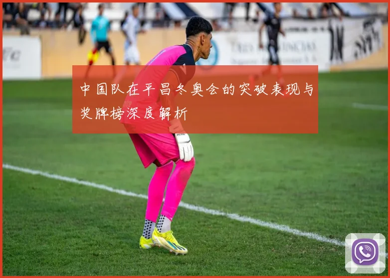 中国队在平昌冬奥会的突破表现与奖牌榜深度解析