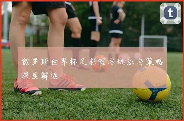 俄罗斯世界杯足彩官方玩法与策略深度解读