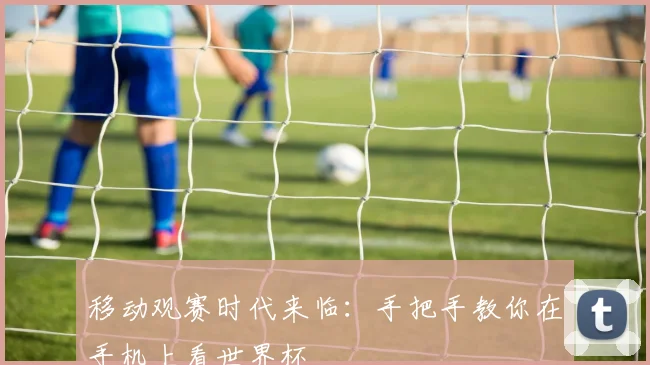 移动观赛时代来临:手把手教你在手机上看世界杯