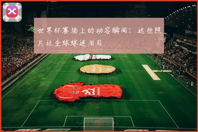 世界杯赛场上的动容瞬间：这些照片让全球球迷泪目