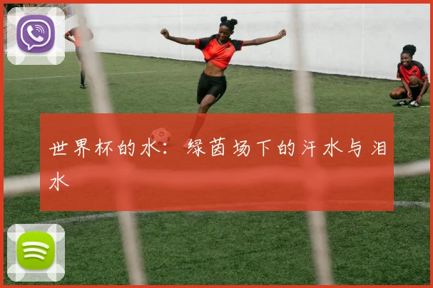 世界杯的水：绿茵场下的汗水与泪水
