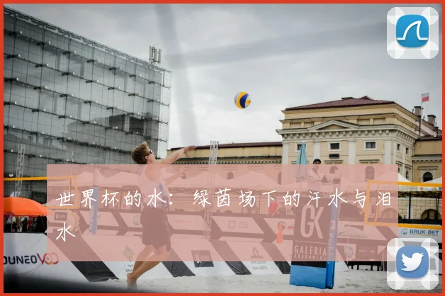 世界杯的水：绿茵场下的汗水与泪水